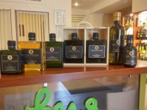  ANTONINO ANDREA CENTONZE S.S. (, )  -     "Olive Oil"