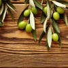 о нашем магазине - интернет магазин оливковых масел "Olive Oil"